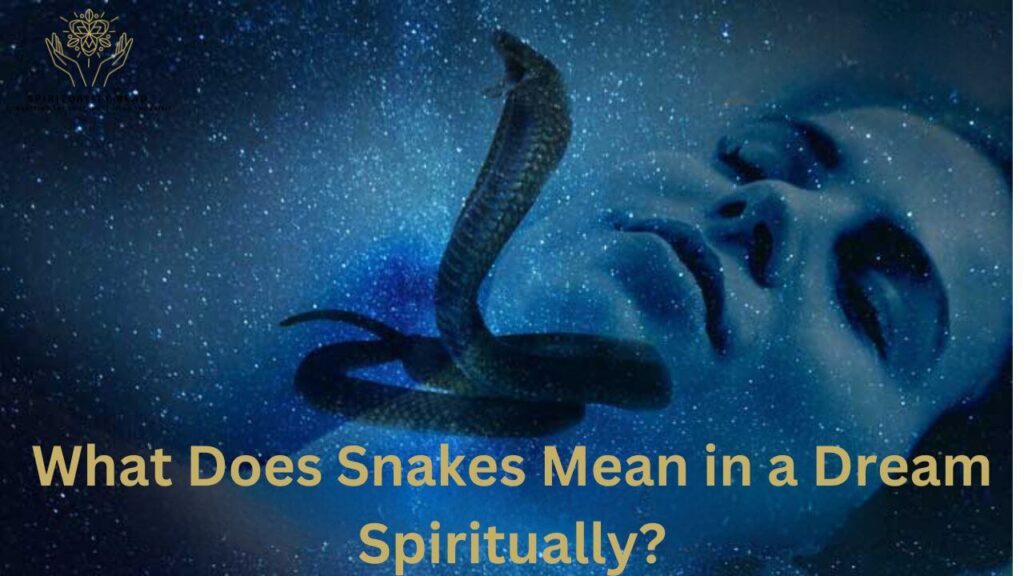 what does snakes mean in a dream spiritually?