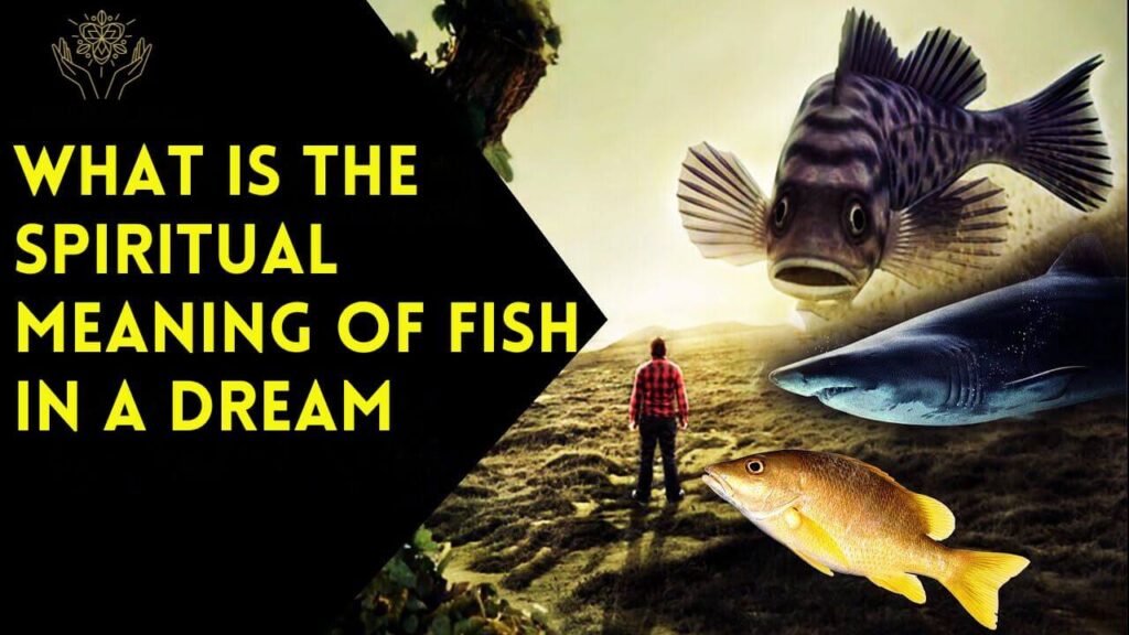 What is the Spiritual Meaning of Fish in a Dream