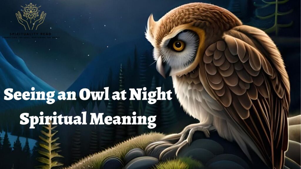 Seeing an Owl at Night Spiritual Meaning