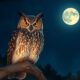 owl symbolizes wisdom and insight