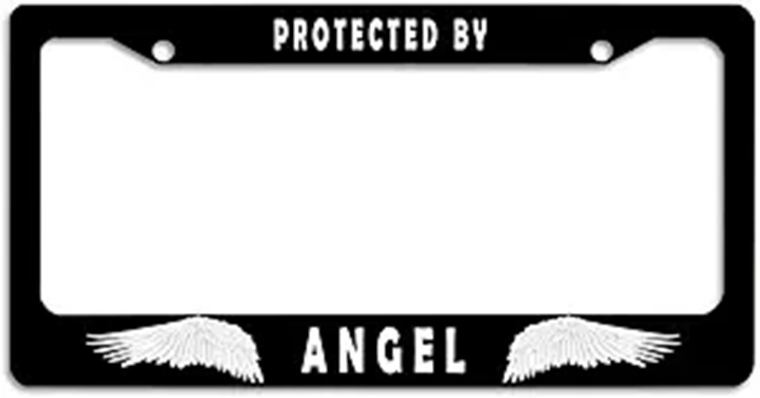 funny decorative license frame