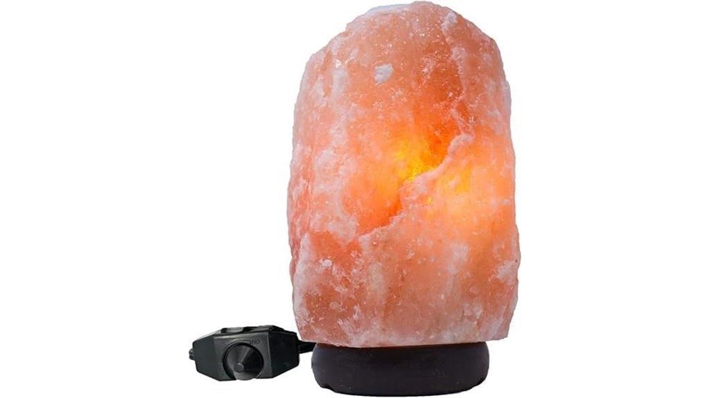 extra large pink himalayan salt