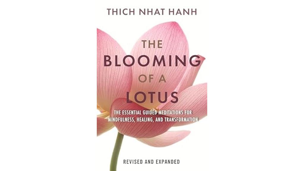 meditation for mindfulness healing
