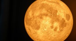 top moon lamps selection