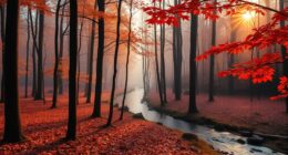 nature s annual spiritual patterns