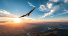 soaring toward limitless goals