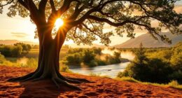 spiritual laws of cause