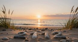balance choices and alignment