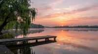 contemplative self examination for growth