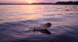 creative renewal through completion