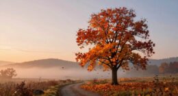 cycles of personal growth