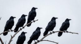 dreams symbolize spiritual messages