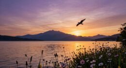 faith guides life changes