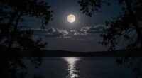 moon dreams reveal inner truths