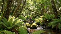 nature meditation resets nerves