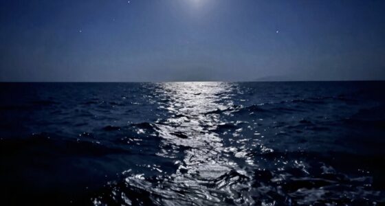 nighttime ocean dream symbolism