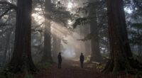 self discovery through separation