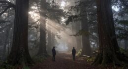 self discovery through separation