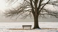 simplicity reveals spiritual insights