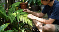 Do plants have spirits?