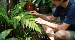 Do plants have spirits?