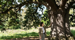 Major Oak, the 1,200-Year-Old Tree with Ties to the Robin Hood Legend, Is Presumed Dead After Failing to Produce Leaves