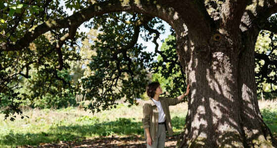 Major Oak, the 1,200-Year-Old Tree with Ties to the Robin Hood Legend, Is Presumed Dead After Failing to Produce Leaves