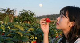 The 4 Luckiest Signs During June’s Strawberry Full Moon