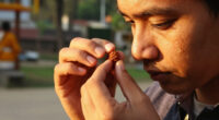 Mukhi Rudraksha Surges In Global Coverage