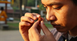 Mukhi Rudraksha Surges In Global Coverage