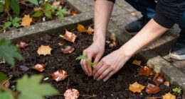 This Is The Perfect Time To Set Your New Year Resolutions, Actually (Fall Equinox)